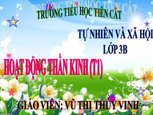 Bài 13. Hoạt động thần kinh