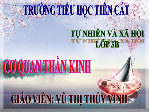 Bài 12. Cơ quan thần kinh