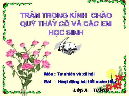 Bài 10. Hoạt động bài tiết nước tiểu