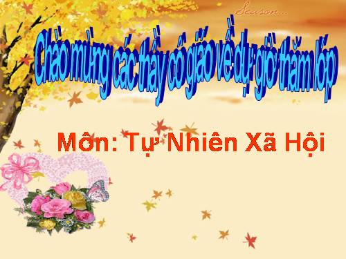 Bài 9. Phòng bệnh tim mạch