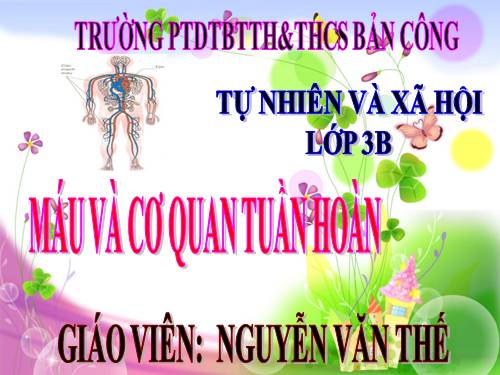 Bài 6. Máu và cơ quan tuần hoàn