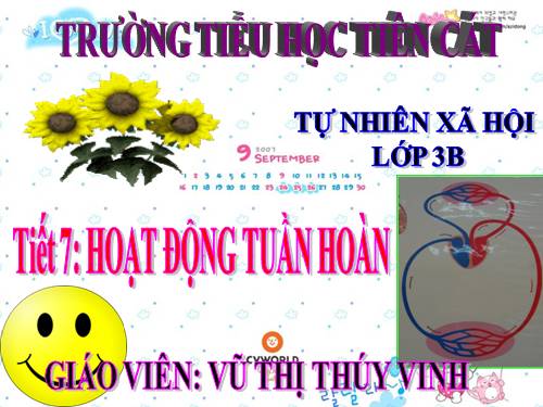 Bài 7. Hoạt động tuần hoàn