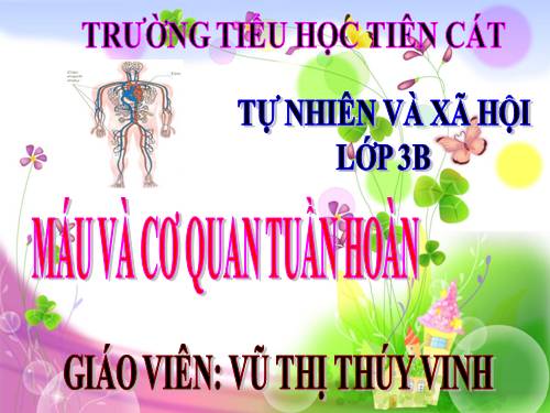 Bài 6. Máu và cơ quan tuần hoàn