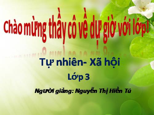 Bài 4. Phòng bệnh đường hô hấp