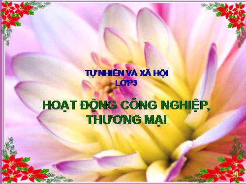 Bài 31. Hoạt động công nghiệp, thương mại