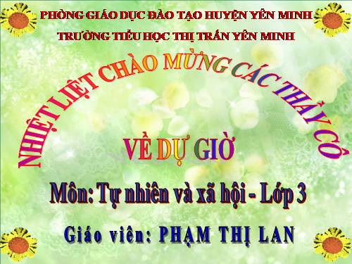 Bài 58. Mặt Trời