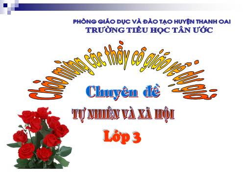 Bài 10. Hoạt động bài tiết nước tiểu