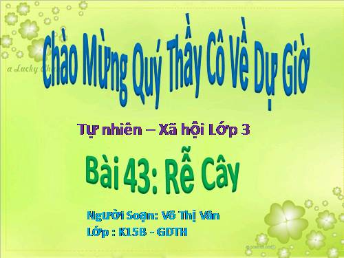 Bài 43. Rễ cây