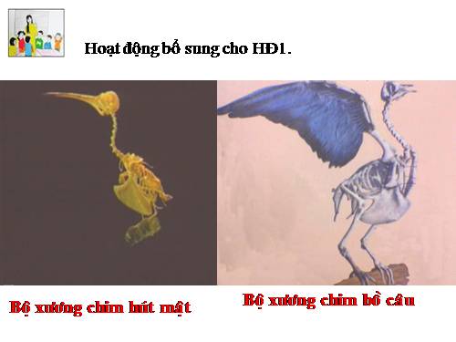 Bài 49. Động vật