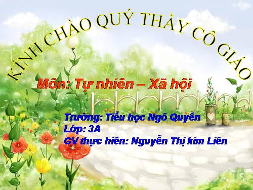 Bài 55. Thú (tiếp theo)