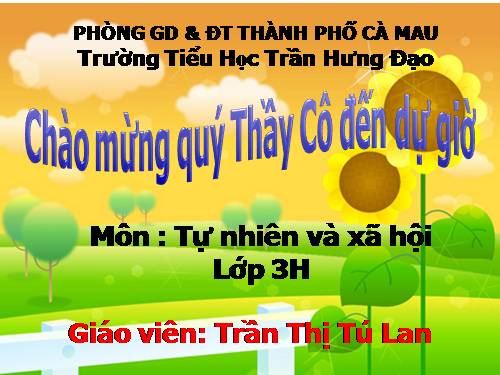 Bài 24. Một số hoạt động ở trường