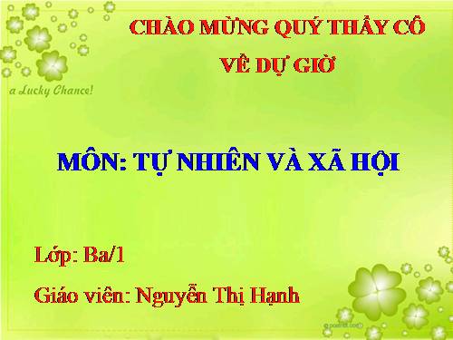 Bài 37. Vệ sinh môi trường (tiếp theo)