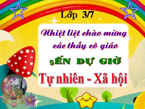 Bài 27-28. Tỉnh (thành phố) nơi bạn đang sống