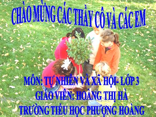 Bài 44. Rễ cây (tiếp theo)