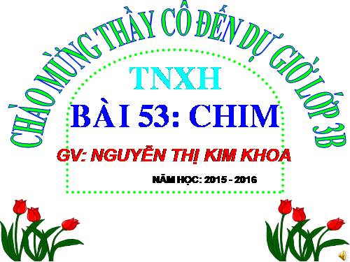 Bài 53. Chim