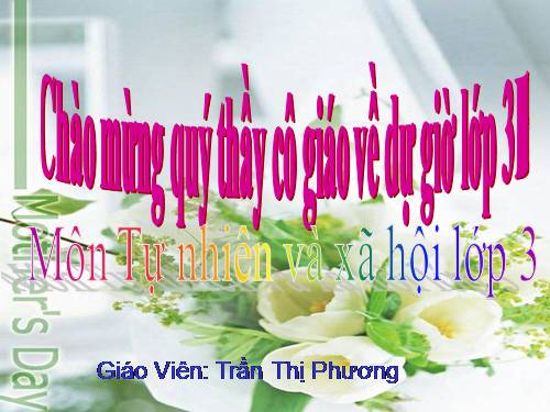 Bài 19. Các thế hệ trong một gia đình