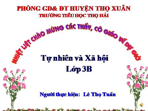 Bài 51. Tôm, cua