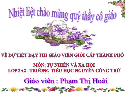 Bài 19. Các thế hệ trong một gia đình