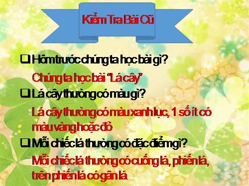 Bài 46. Khả năng kì diệu của lá cây