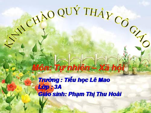 Bài 55. Thú (tiếp theo)