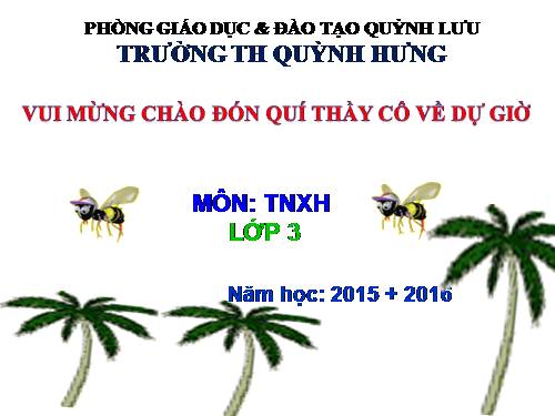 Bài 48. Quả