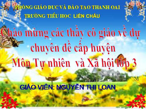 Bài 47. Hoa