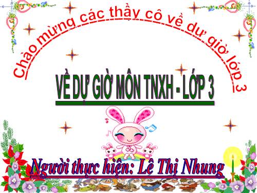 Bài 41. Thân cây