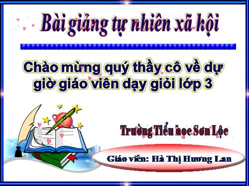 Bài 40. Thực vật