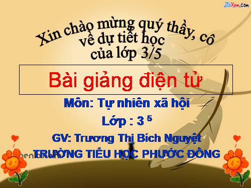 Bài 38. Vệ sinh môi trường (tiếp theo)