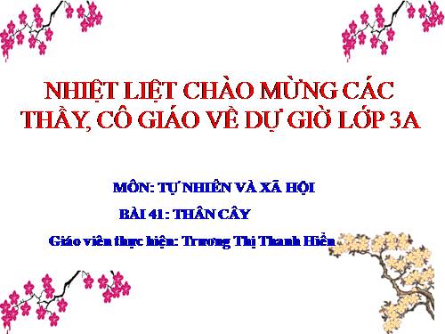 Bài 41. Thân cây