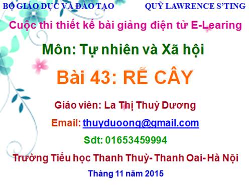 Bài 43. Rễ cây