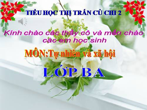 Bài 32. Làng quê và đô thị