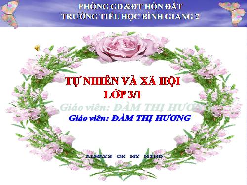 Bài 30. Hoạt động nông nghiệp