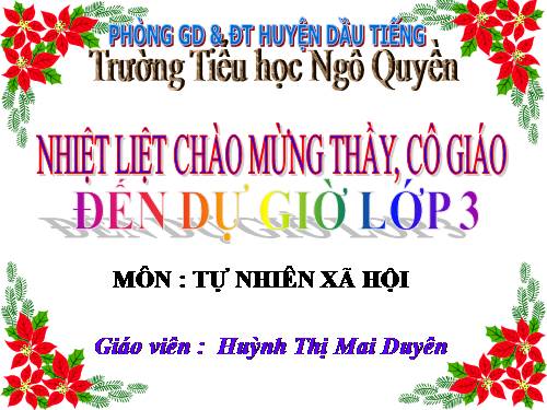 Bài 31. Hoạt động công nghiệp, thương mại