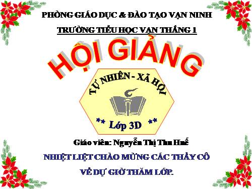 Bài 19. Các thế hệ trong một gia đình