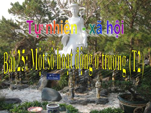 Bài 24. Một số hoạt động ở trường