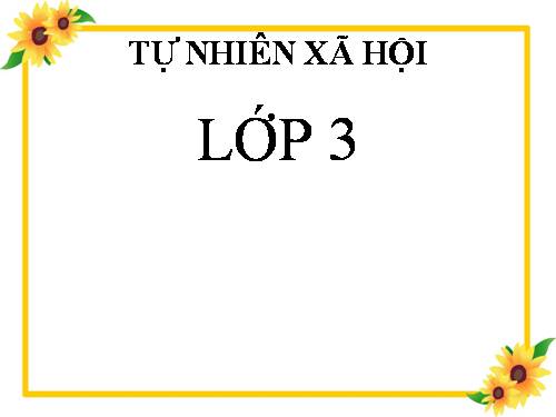 Bài 19. Các thế hệ trong một gia đình