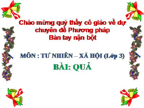 Bài 48. Quả