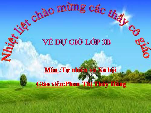 Bài 20. Họ nội, họ ngoại