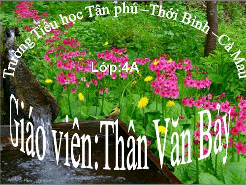 Bài 19. Các thế hệ trong một gia đình