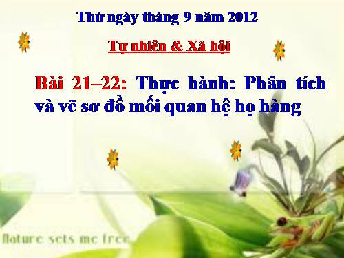 Bài 21-22. Thực hành: Phân tích và vẽ sơ đồ mối quan hệ họ hàng