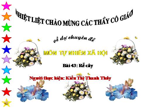 Bài 43. Rễ cây