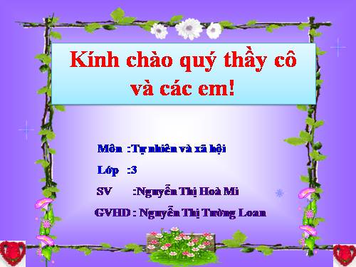 Bài 48. Quả