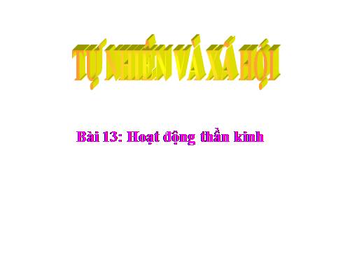 Bài 13. Hoạt động thần kinh