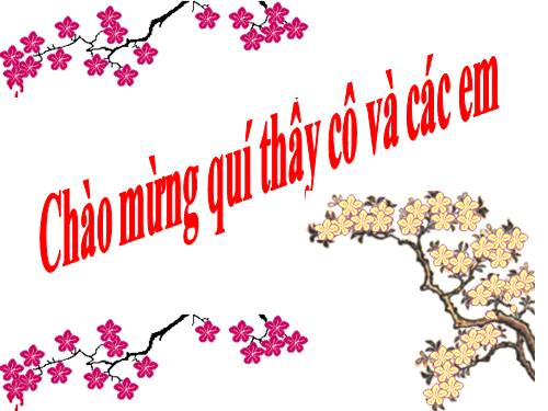 Bài 40. Thực vật