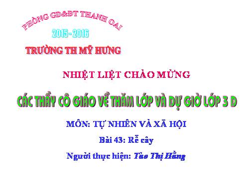 Bài 43. Rễ cây