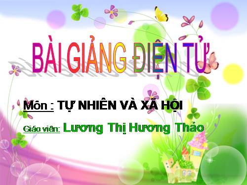 Bài 6. Máu và cơ quan tuần hoàn