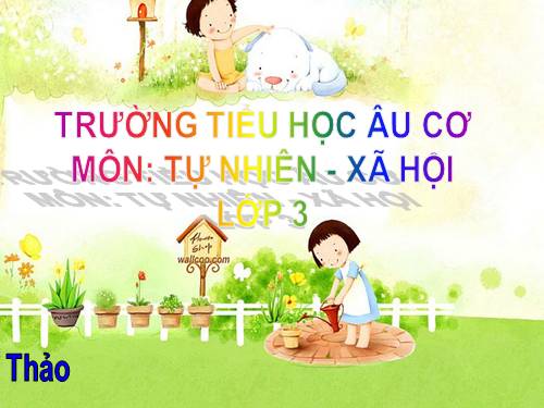 Bài 3. Vệ sinh hô hấp