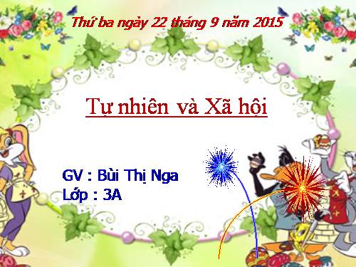 Bài 11. Vệ sinh cơ quan bài tiết nước tiểu