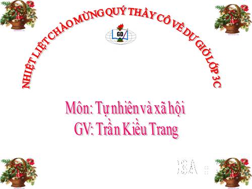 Bài 14. Hoạt động thần kinh (tiếp theo)